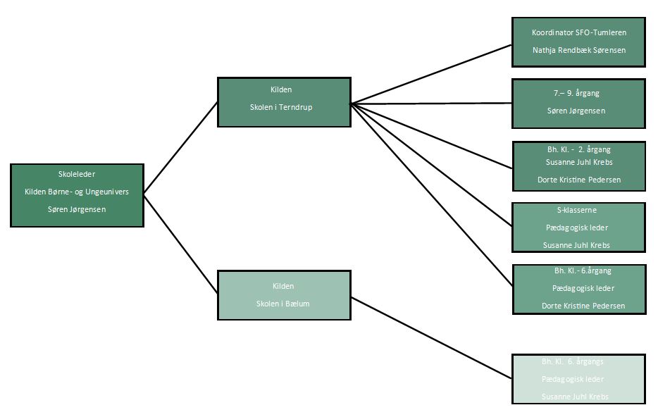 Ledelsesdiagram